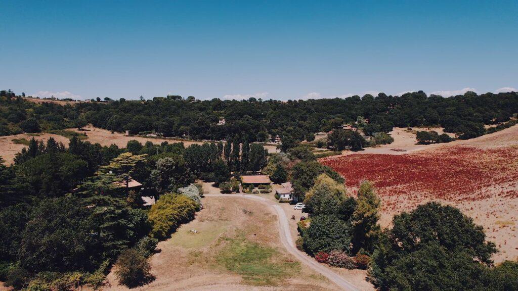 Dependance - Tenuta di Polline